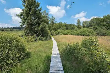 Photo de Les trôs Marets