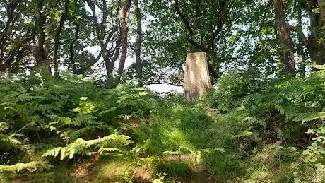 Woolley Edge