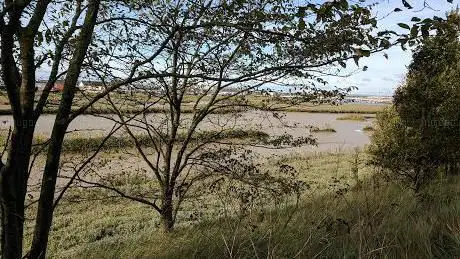 Photo de RSPB Adur Estuary