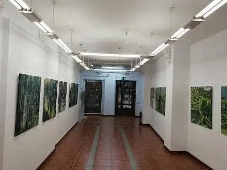 Photo de Artex Sala