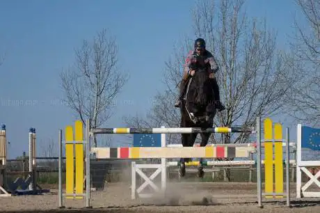 Photo de ASD Zinzalabin circolo ippico Annibale Granese