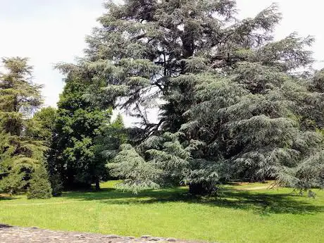 Photo de Cassina De' Bracchi
