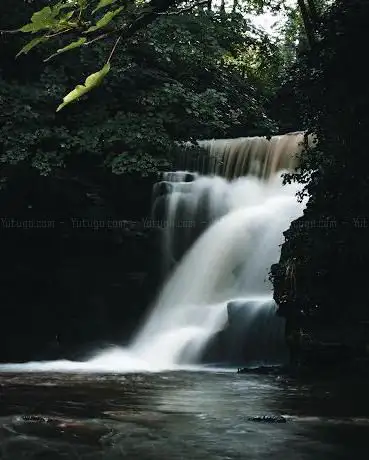 Neath Abbey Waterfall