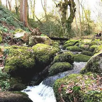 Photo de Parc des Parelles