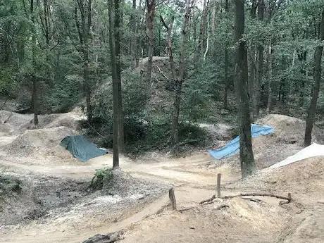 Forest Jump - Sandberge (BMX Dirt Trial-Strecke)
