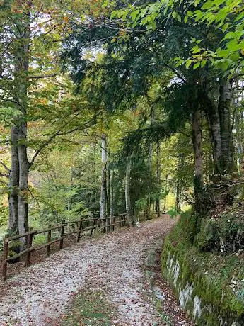 Photo de Foresta del Prescudin