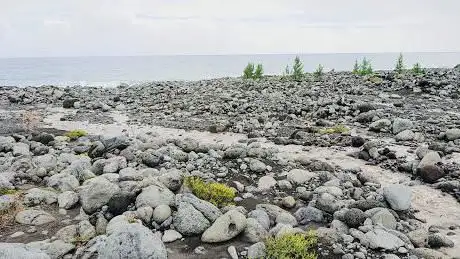 Berges de la Rivière de l'Est