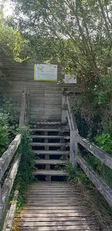 Photo de Observatoire Etang des Essarts
