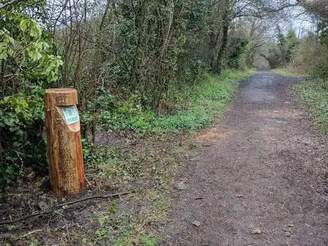 Swanmore Meadows