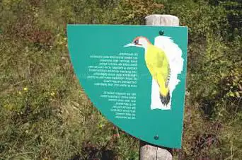 Photo de Sentier des Papillons