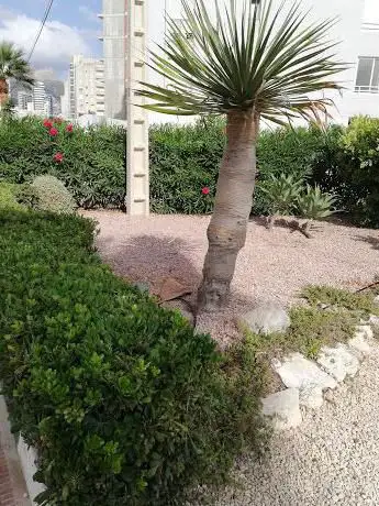 Photo de JardÃ­ del Parador