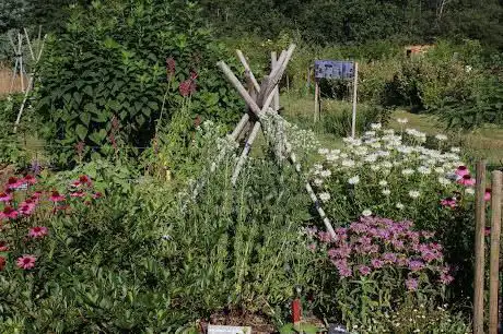 Photo de Les Jardins de l'humanité