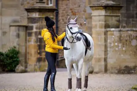 Photo de Equine and Country