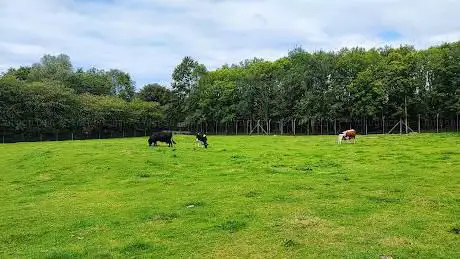 Photo de Tannaghmore Gardens & Animal Farm