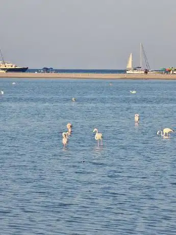 Photo de Postazione per bird watching
