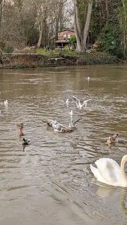 Photo de Staines Playground Park