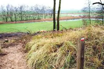 Noordduinen