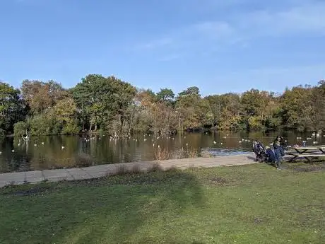 Photo de California Country Park Picnic Area