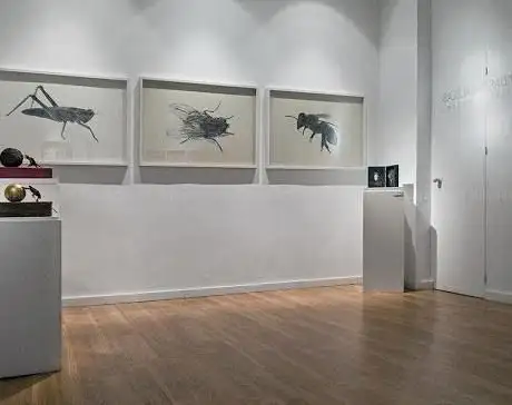 Photo de GalerÃa El Estudio de Ignacio del RÃo