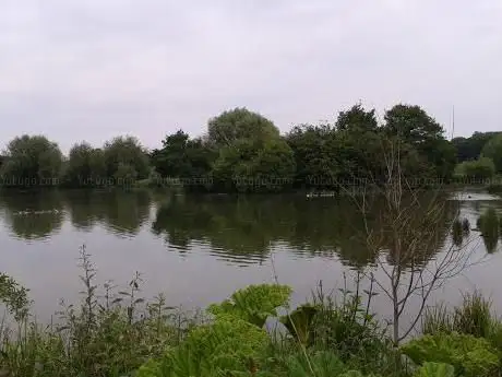 Burton Island