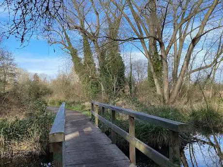 Photo de The Wetland Boardwalk