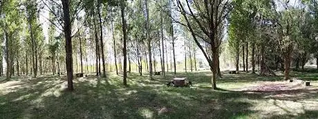 Photo de Ãrea Recreativa Fuente de los Caños