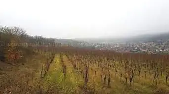 Photo de Point de vue sur les Vosges