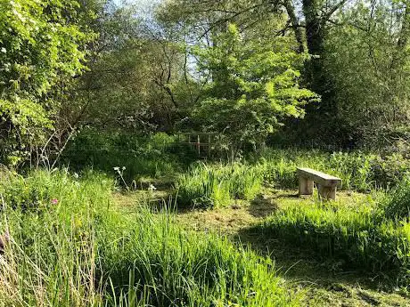Photo de Marsh Common