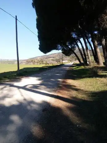 Photo de Pinitos del Marques