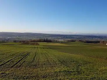 Vogelhüsli