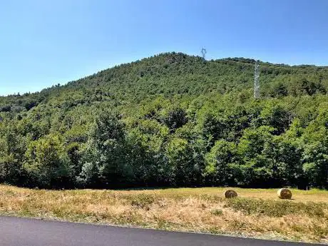 Pratovallarino (sv)