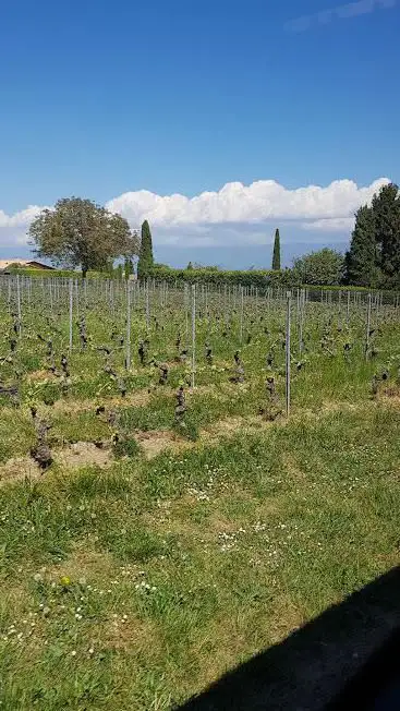 Randonnée frontalière Hermance