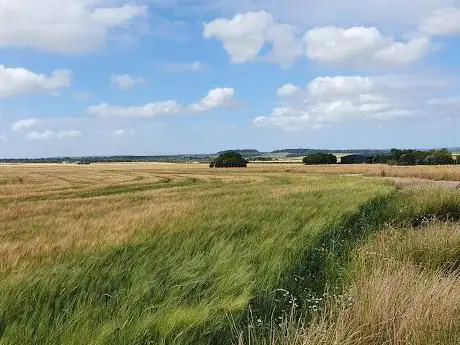 Tarrant Rushden Airfield