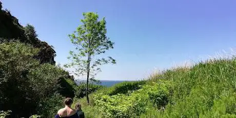 Photo de Beach Road Nature Reserve