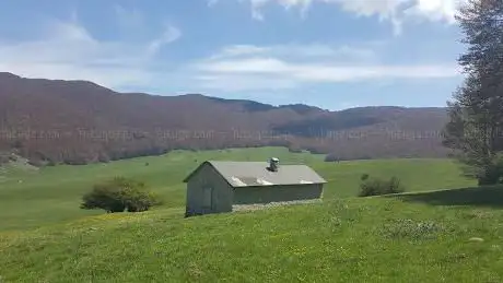Photo de Rifugio Del Voltigno