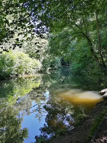 Photo de River Frome Stapleton Fork