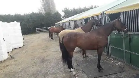 Photo de Glebe Farm
