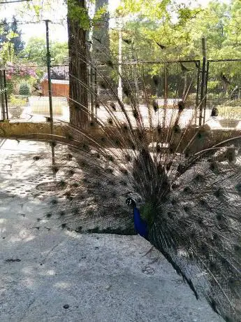 Photo de Consolación Park