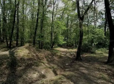 Photo de Riserva Naturale di Nomentum