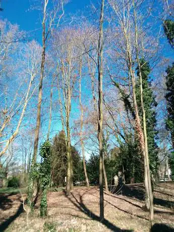 Photo de Parc Marial