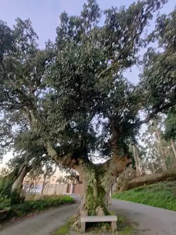 Vilariño Sobreira Centenaria