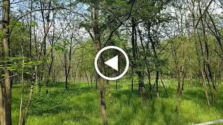 Photo de Parco delle RoggÃ­e