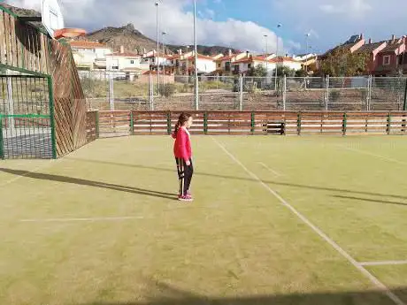 Photo de Pista Deportiva El Olivar