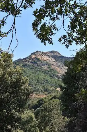 Pala Frearzu