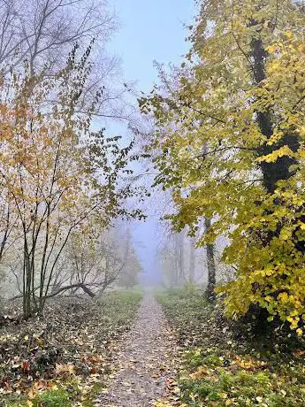 Park Halfweg