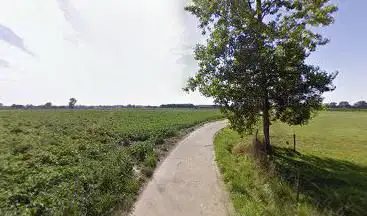 Spiegeldriesbos