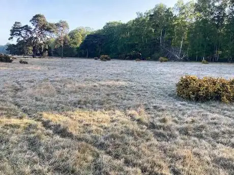 Photo de NWT Weeting Heath