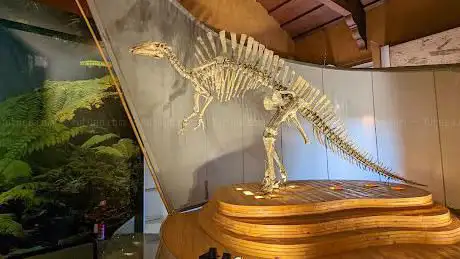 Photo de Musée d'Histoire Naturelle