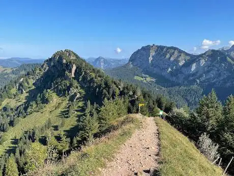 Wanderleo