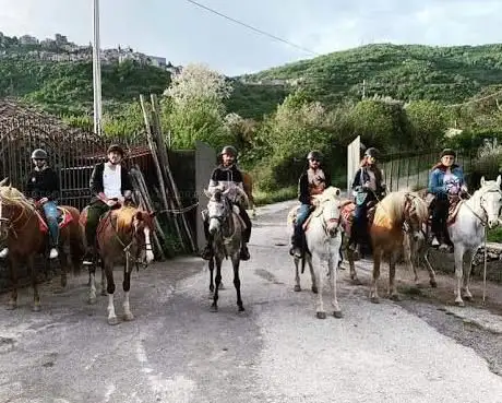 Photo de Alcantara Horse Riding